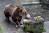 Christmas Day – Bear Christmas in Český Krumlov 24.12.2019, photo by: Lubor Mrázek