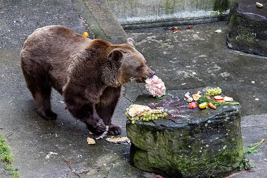 Christmas Day – Bear Christmas in Český Krumlov 24.12.2019