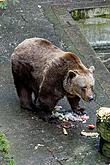 Christmas Day – Bear Christmas in Český Krumlov 24.12.2019, photo by: Lubor Mrázek