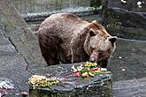 Christmas Day – Bear Christmas in Český Krumlov 24.12.2019, photo by: Lubor Mrázek