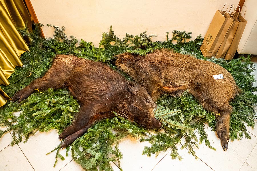 VI. reprezentační ples města Český Krumlov, Zámecká jízdárna 18.1.2020