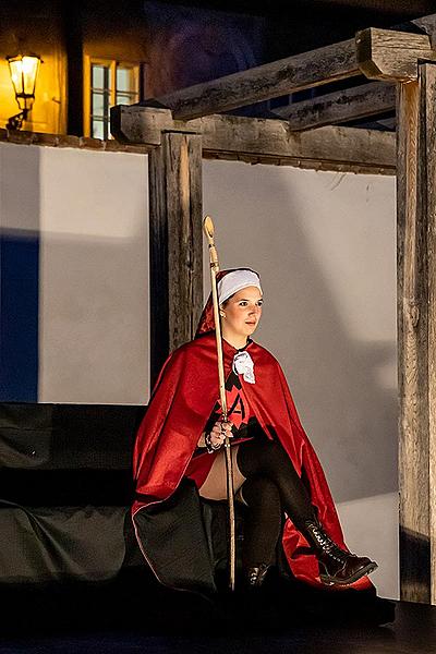 Carnival parade in Český Krumlov, 25th February 2020