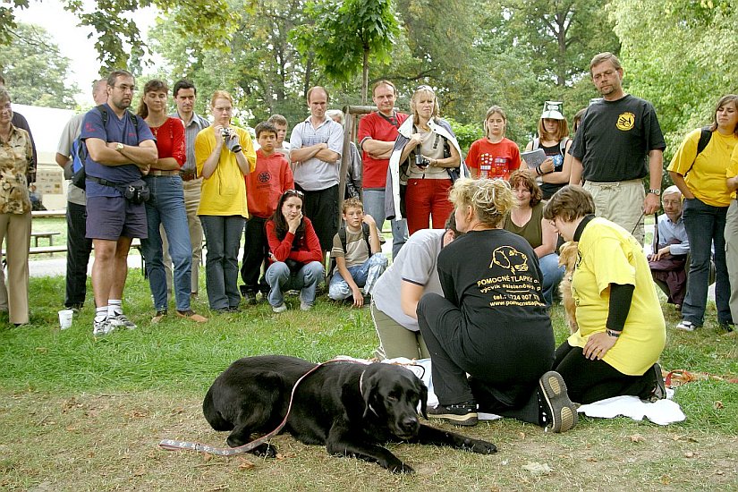 Ukázky práce asistenčních psů 'Pomocné tlapky' - Canisterapie, Den s handicapem, Český Krumlov 11. září 2004, foto: Lubor Mrázek