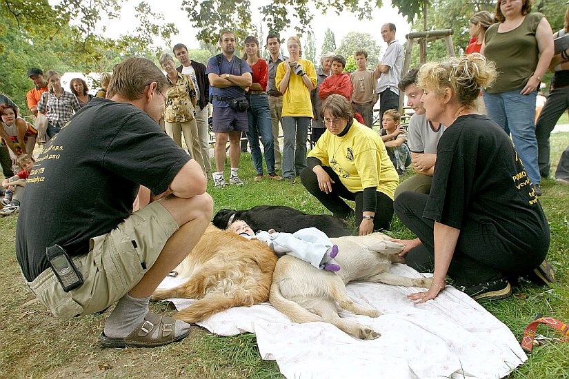 Ukázky práce asistenčních psů 'Pomocné tlapky' - Canisterapie, Den s handicapem, Český Krumlov 11. září 2004, foto: Lubor Mrázek