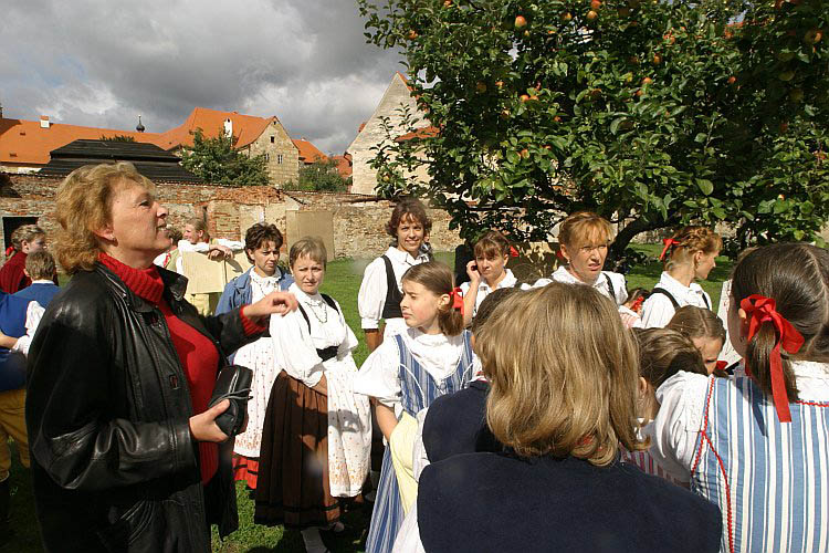 St.-Wenzels-Fest 2004 - Winzer- und Bierbrauerzug durch die Stadt, Foto: © Lubor Mrázek