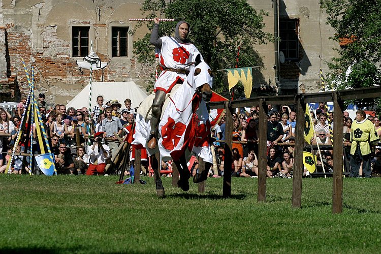 Slavnosti pětilisté růže 2005, 18. června 2005 - Turnaj růží, foto: © Lubor Mrázek