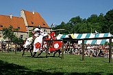 Slavnosti pětilisté růže 2005, 18. června 2005 - Turnaj růží, foto: © Lubor Mrázek 