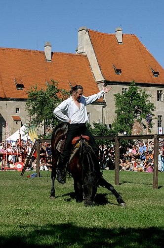 Slavnosti pětilisté růže 2005, 18. června 2005 - Turnaj růží, foto: © Lubor Mrázek