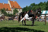 Slavnosti pětilisté růže 2005, 18. června 2005 - Turnaj růží, foto: © Lubor Mrázek 