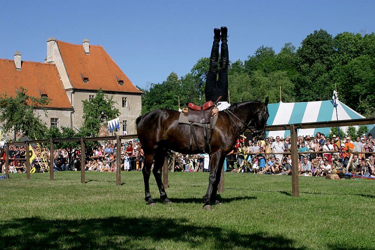 Slavnosti pětilisté růže 2005, 18. června 2005 - Turnaj růží, foto: © Lubor Mrázek