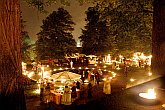 Baroque Night in the Český Krumlov Castle ®, 9th July 2005, Festival of Chamber Music Český Krumlov, photo: © Lubor Mrázek 