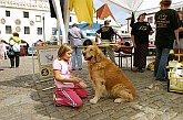 Pomocné tlapky, program a setkání v centru města Český Krumlov, Den s handicapem - Den bez bariér Český Krumlov, 10. září 2005, foto: © Lubor Mrázek 