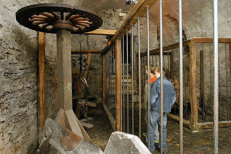 Den otevřených srdcí, Svatováclavské slavností 2005 v Českém Krumlově, foto: © Lubor Mrázek