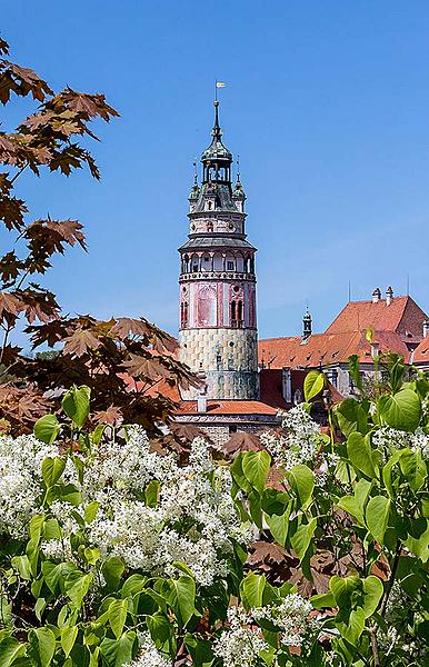 Anbetung der Teilnehmer des Zweiten Weltkriege 8.5.2020