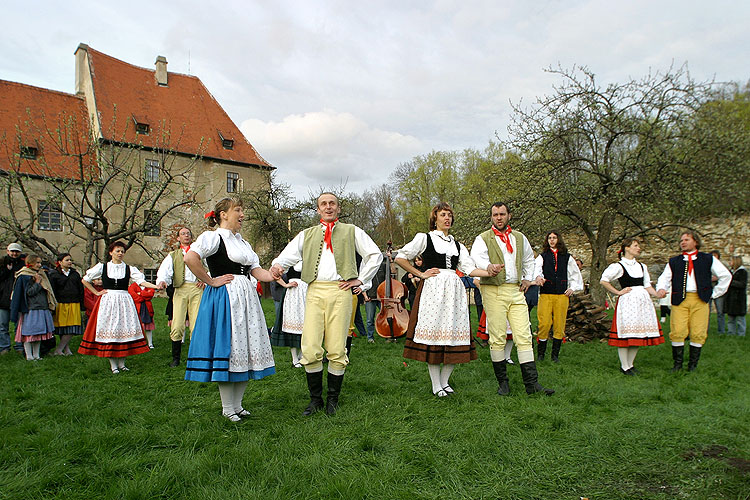 Kouzelný Krumlov - stavění májky, 30. dubna 2006, Pivovarská zahrada, Český Krumlov