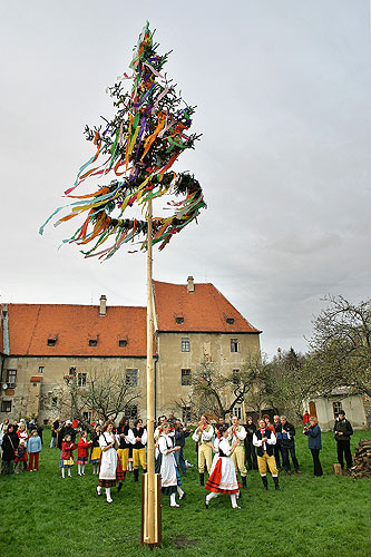 Kouzelný Krumlov - stavění májky, 30. dubna 2006, Pivovarská zahrada, Český Krumlov, foto: © Mgr. Lubor Mrázek