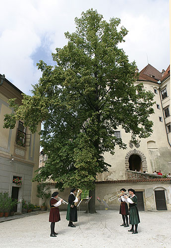 Musik im wandel der Zeit, Schloss Český Krumlov, 8. - 9.7.2006, Festival der Kammermusik Český Krumlov, Foto: © Lubor Mrázek