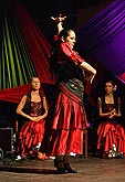 La fiesta - španělský večer, Cuadro Flamenco de Granada (Španělsko), La Peňa flamenca, Pivovarská zahrada, 19.8.2006, Mezinárodní hudební festival Český Krumlov 2006, zdroj: © Auviex s.r.o., foto: Libor Sváček 