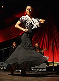 La Fiesta - Spanischer Abend, Cuadro Flamenco de Granada (Spanien), La Peňa flamenca, Brauereigarten, 19.8.2006, Internationales Musikfestival Český Krumlov 2006, Bildsquelle: © Auviex s.r.o., Foto: Libor Sváček 
