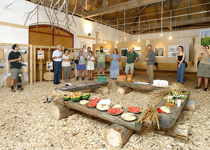 Eröffnung der Ausstellung 