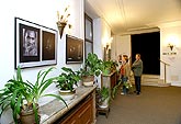 Municipal Theatre - Photo gallery, Horní Street, Saint Wenceslas' Night of Open Museums and Galleries, Saint Wenceslas Celebrations in Český Krumlov, 28th September - 1st October 2006, photo: © Lubor Mrázek 