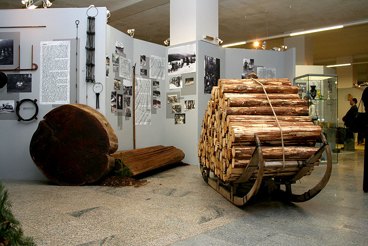 Výstava Šumava - tajemství, nostalgie, příběhy, vernisáž 1.3.3007, Národní zemědělské muzeum Praha, foto: © 2007 Petr Hudičák