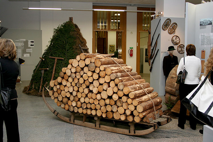 Výstava Šumava - tajemství, nostalgie, příběhy, vernisáž 1.3.3007, Národní zemědělské muzeum Praha, foto: © 2007 Petr Hudičák