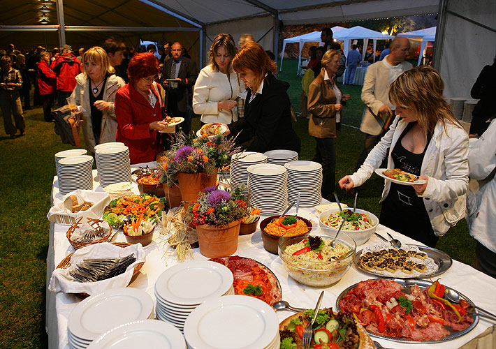 Irská noc, Pivovarská zahrada, 11.8.2007, Mezinárodní hudební festival Český Krumlov, zdroj: Auviex s.r.o., foto: Libor Sváček