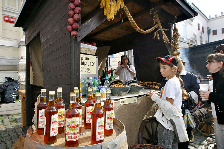 Saint Wenceslas Celebrations and International Folklore Festival, 28th - 30th September 2007, photo by: © 2007 Lubor Mrázek