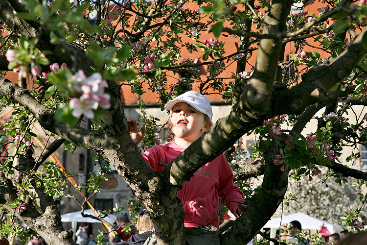 Hexennachmittag für Kinder, Zauberhafte Krumlov, 29. April - 1. Mai 2008, Foto: Lubor Mrázek