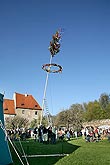 Společné zdobení a stavění máje, Kouzelný Krumlov, 29. dubna - 1. května 2008, foto: Lubor Mrázek 