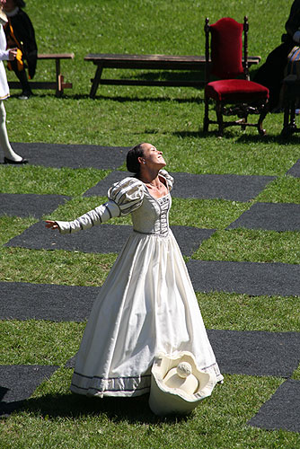 Five-Petalled Rose Celebrations, 20. - 22. June 2008, photo by: © 2008 Lubor Mrázek