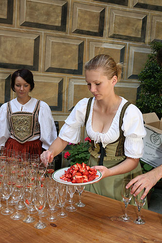 Baroque Night on the Český Krumlov Castle ®, 27.6. and 28.6.2008, Chamber Music Festival Český Krumlov 2008, photo: Lubor Mrázek