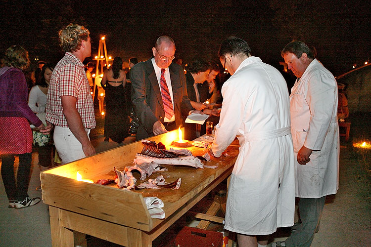 Barokní noc na zámku Český Krumlov ®, 27.6. a 28.6.2008, Festival komorní hudby Český Krumlov 2008, foto: Lubor Mrázek