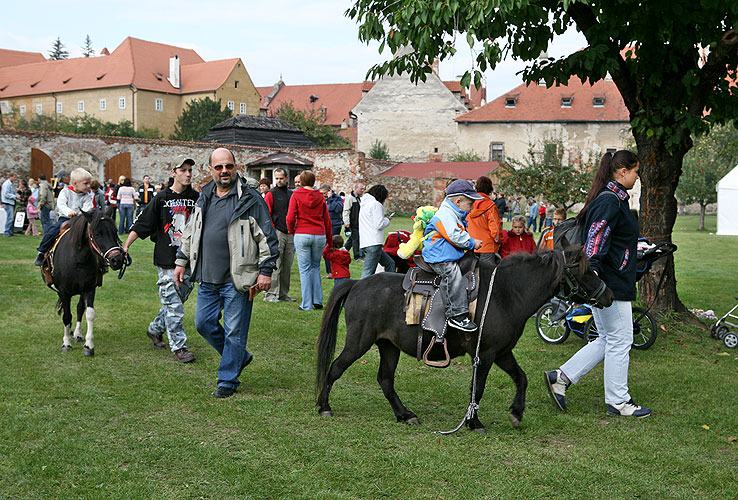 St.-Wenzels-Fest und Internationales Folklorefestival Český Krumlov 2008 in Český Krumlov, Foto: Lubor Mrázek