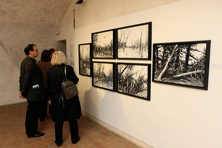 Eröffnung der Ausstellungen Sozialistischer Realismus, Politisches Plakat der UdSSR, Russische Videokunst, Zeitgenössische russische Kunst, FRANTA – František Mertl, Egon Schiele Art Centrum Český Krumlov, 3.4.2009