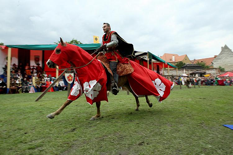 Slavnosti pětilisté růže, 19. - 21. června 2009