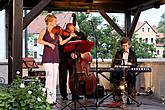 Jazz Trio - Věra Křížková (sing, violin), Jiří Růžička (Piano), Vít Fiala (bass), 2.7.2009, Chamber Music Festival Český Krumlov, photo by: Lubor Mrázek