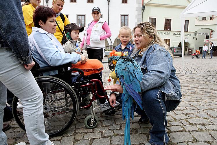 Disability Day, Day without Barriers, 12.9.2009, Český Krumlov