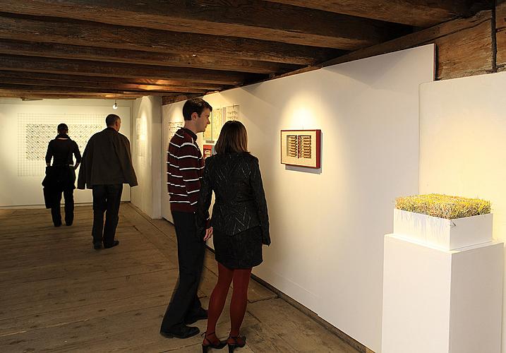 Opening of the exhibitions Karel Valter - 100x, Michal Singer - Circus maximus, Ingrid Cerny - Text Processing, Krumlov´s madona 2009, Egon Schiele Art Centrum Český Krumlov, 6.11.2009