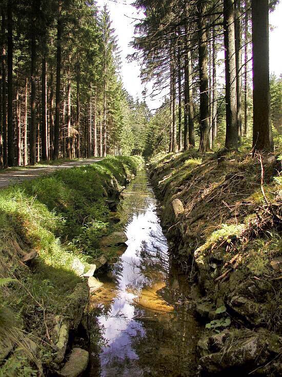 Schwarzenberger Schwemmkanal in der Umgebung von Ježová/Igelbach, 11. Mai 2002, Foto: Lubor Mrázek