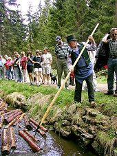 Ukázka plavení dříví na Schwarzenberském kanálu v oblasti Ježové, 11. května 2002, foto: Lubor Mrázek 