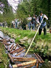 Ukázka plavení dříví na Schwarzenberském kanálu v oblasti Ježové, 11. května 2002 