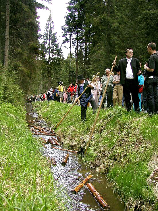 Ukázka plavení dříví na Schwarzenberském kanálu v oblasti Ježové, 11. května 2002, foto: Lubor Mrázek