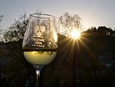 Wine festival Český Krumlov 