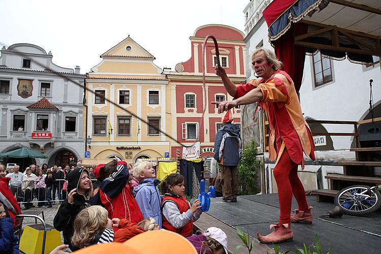 Juggler Pupa