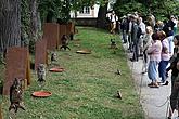 falconry demonstrations and presentation of trained birds 