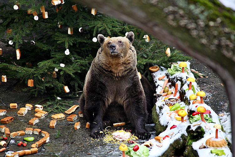 Bear Christmas