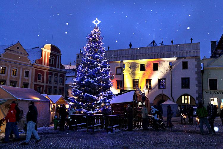 Advent opening and christmas tree lighting