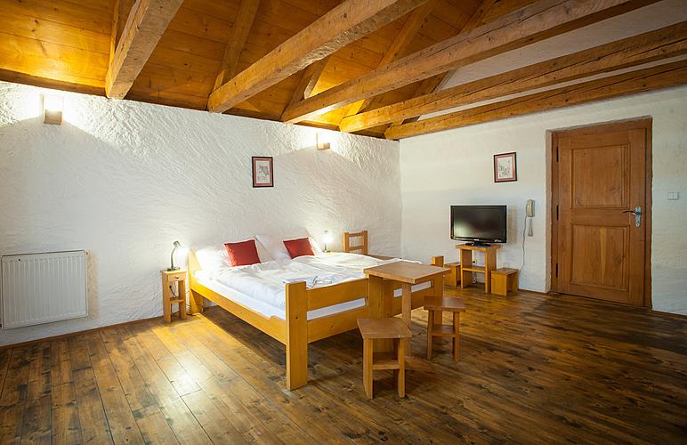 Pavouk Cyprián, 2 + 1, Hotel U Malého Vítka